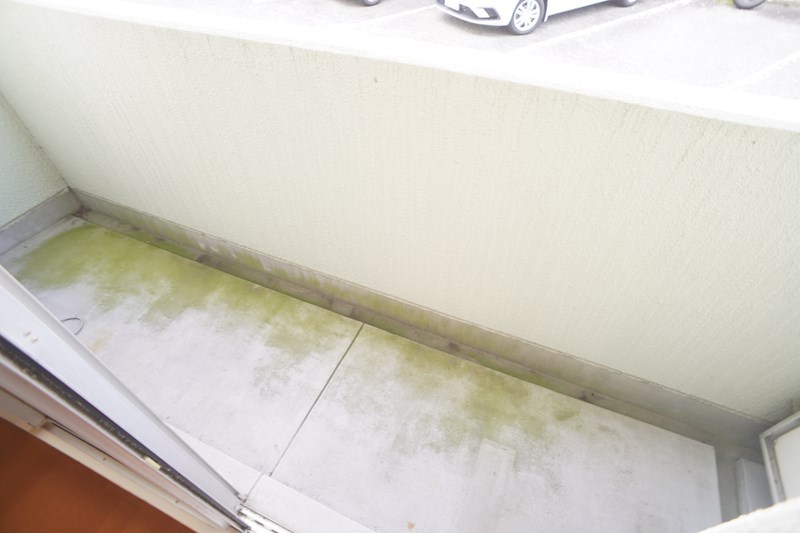 サンパレス大神 その他32