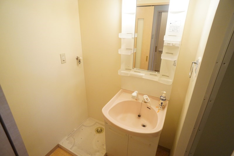 プレミアドミール その他2