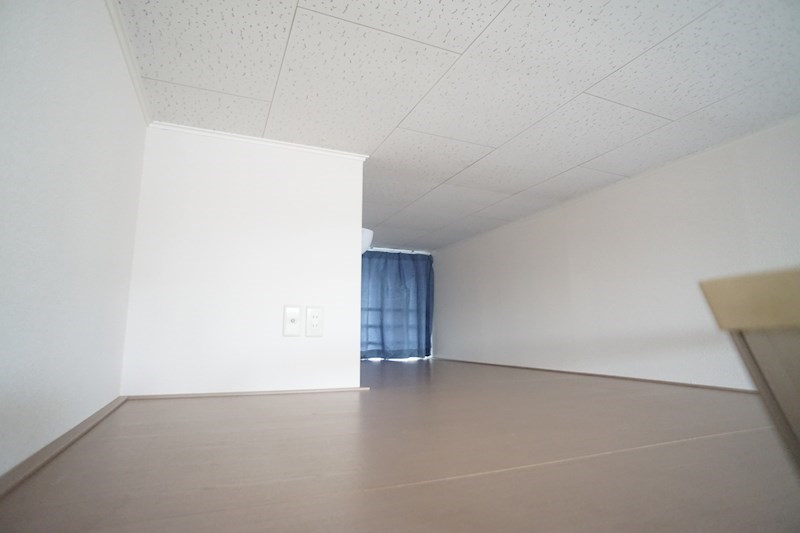 レオパレストミタⅡ ベッドルーム