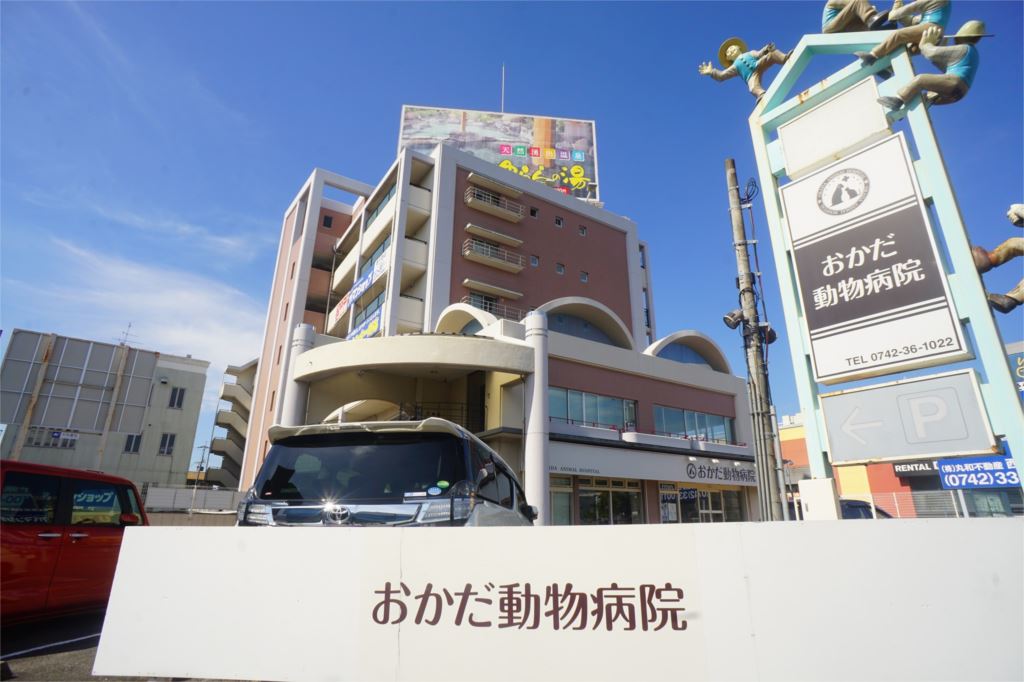 Ｐｌｅｎａ　Ｃｏｕｒｔ　（プレナコート） その他外観1