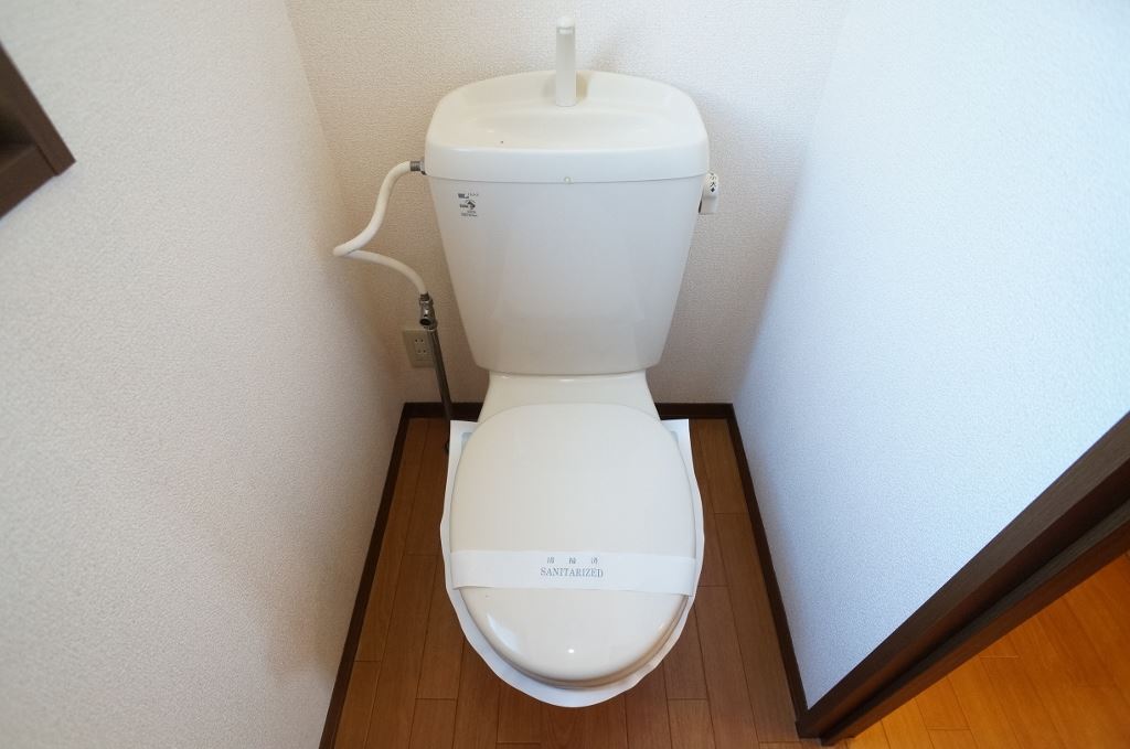 セントポーリア その他1