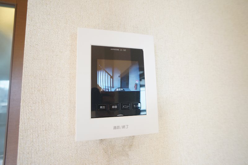セントポーリア その他4