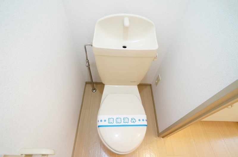 Ａｒｂｏ芝 その他1