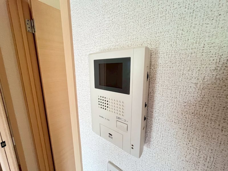 パラガス　グランデ その他4