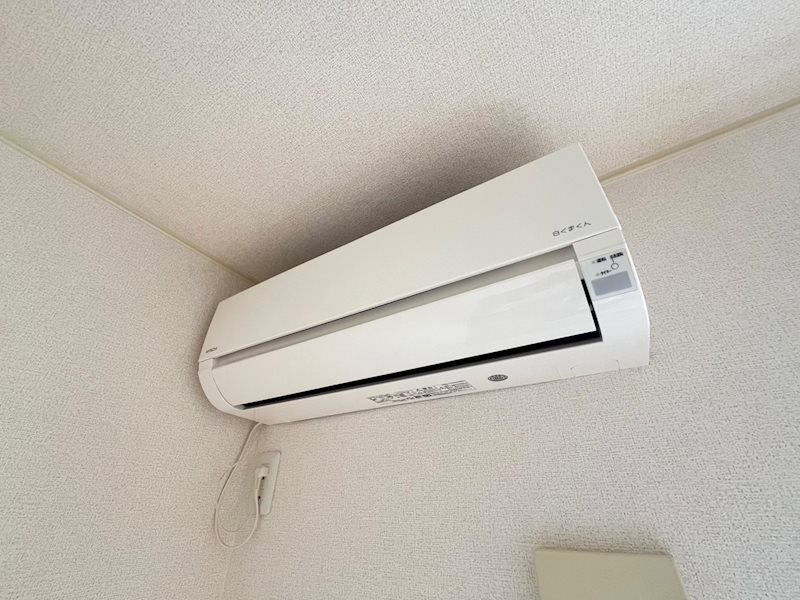 パラガス　グランデ その他11