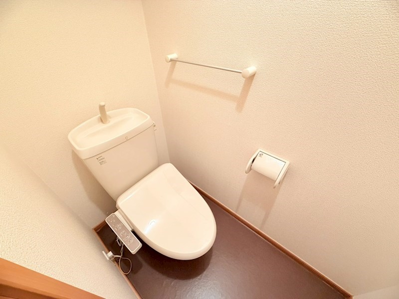 アプリコット その他1