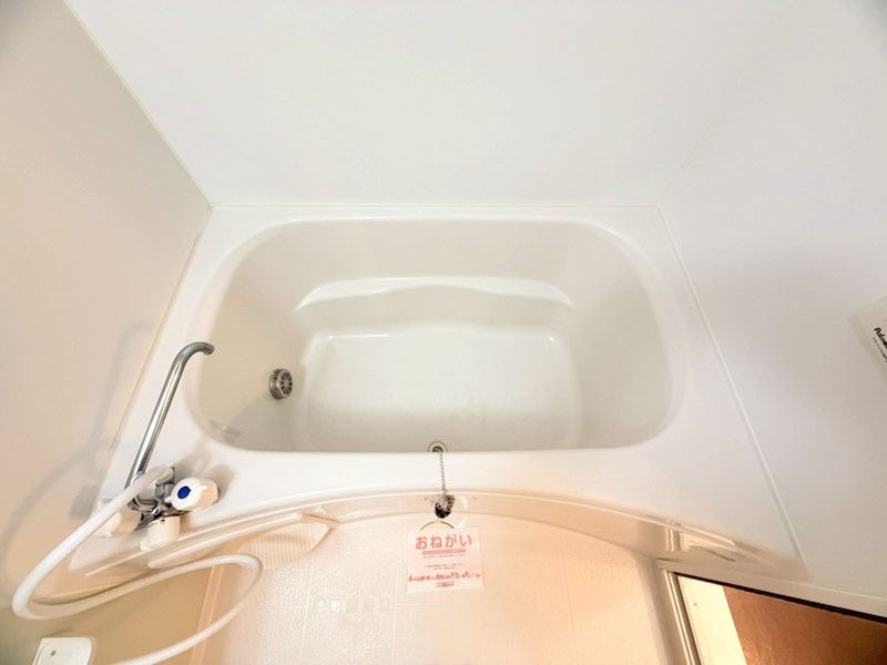 アプリコット その他26