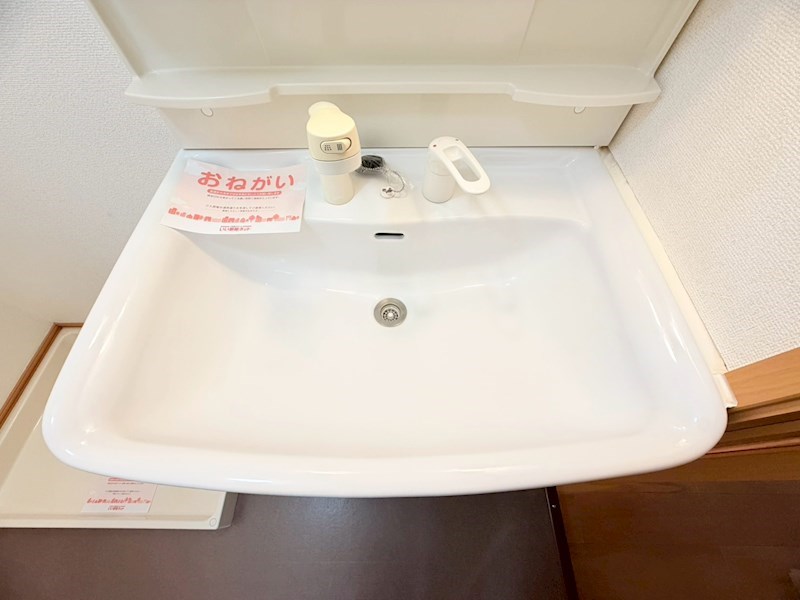 アプリコット その他29