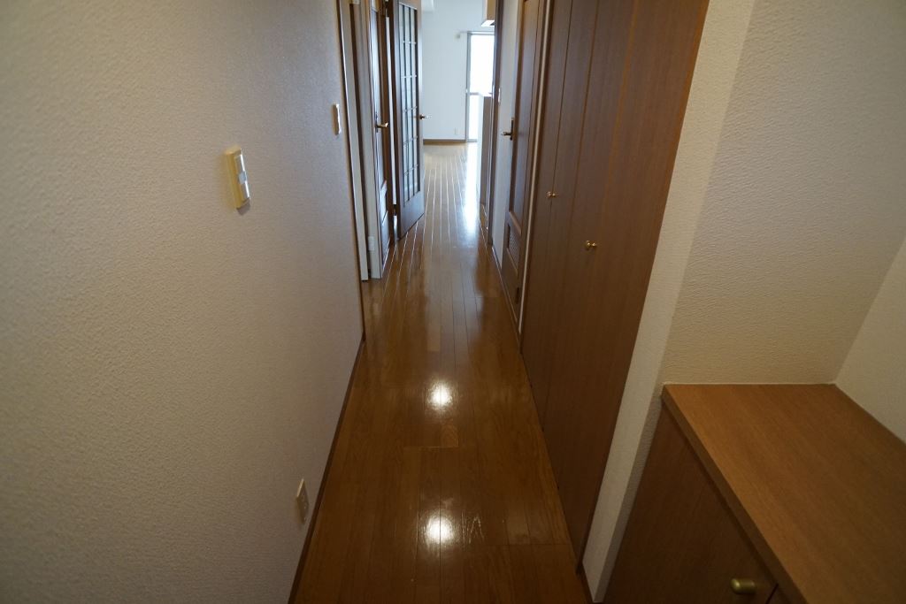 アイリスハイツ７号館 その他11