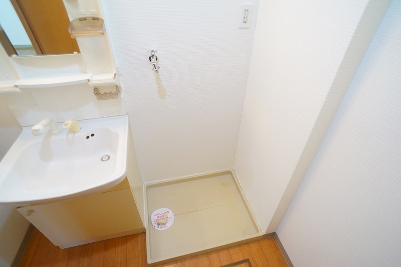 ダンデライオン その他12