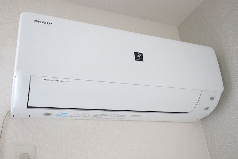 エストレヤ その他5