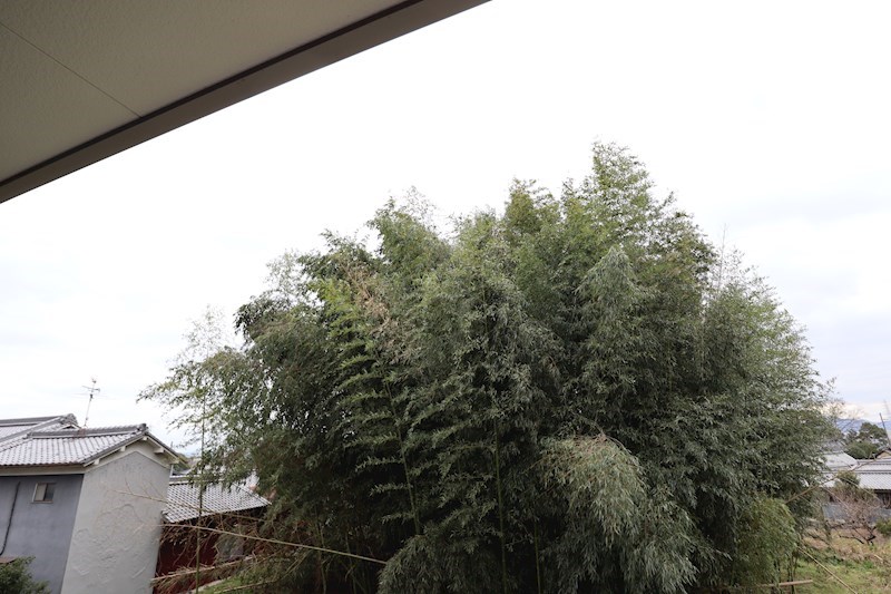 グランツ（額田部北町） その他40