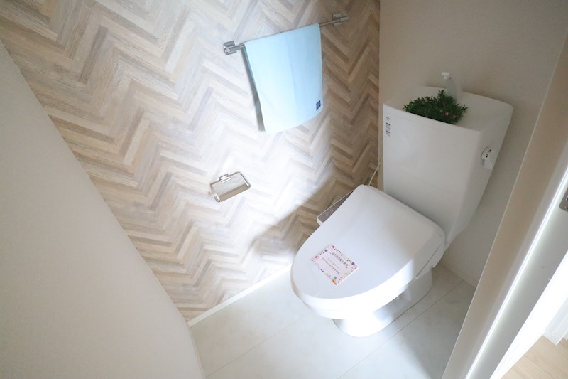 エストレヤ その他5