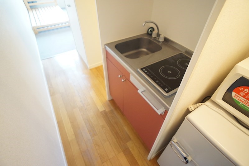 レオパレス大陽参番館（タイヨウサンバンカン） その他10