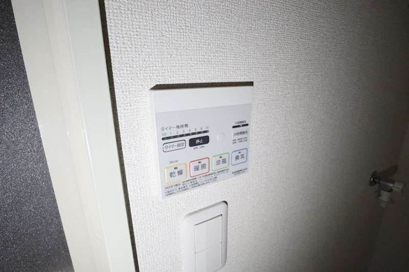 シャンドフルールⅡ その他14