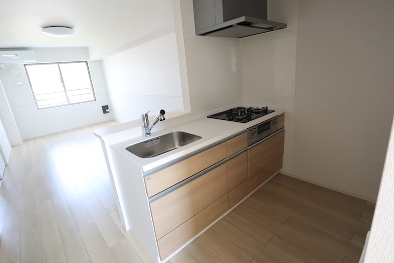 アネモスヒルズ天理Ⅰ その他21