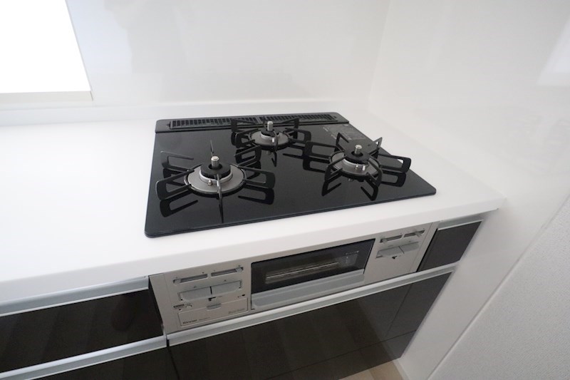 アネモスヒルズ天理Ⅱ その他11