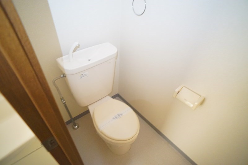 アンプルール　ブア　竜田川 その他2