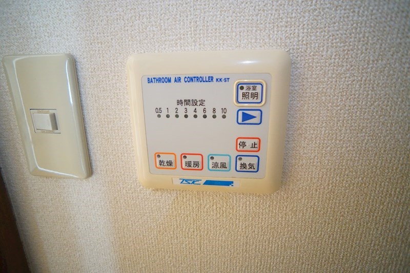 アンプルール　ブア　竜田川 その他20