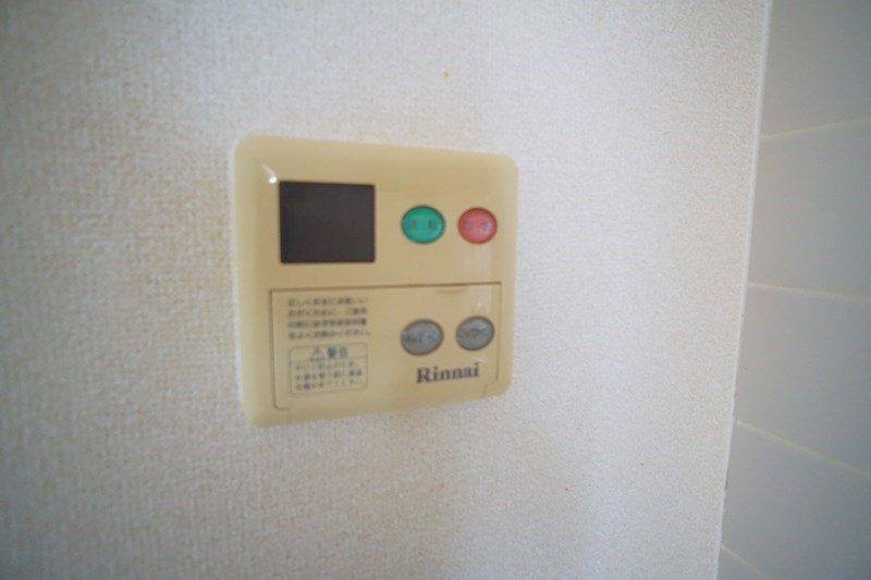 アンプルール　ブア　竜田川 その他21