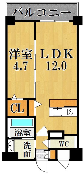 Sole　Cedar 西大寺（ソルシーダー） 505号室 間取り