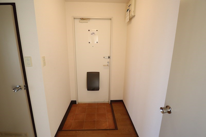 ピノハイツビス その他30