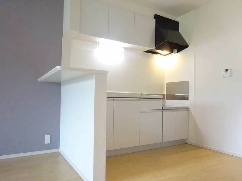 リバーサイド　インフィニティⅡ キッチン