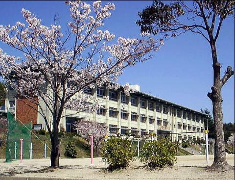 米沢ハイツ 周辺画像5