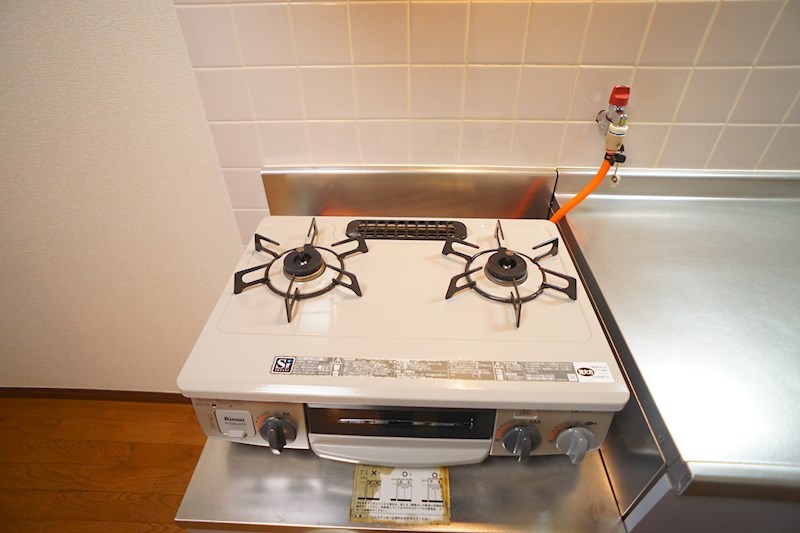 アンプルール　ブア　竜田川 その他10