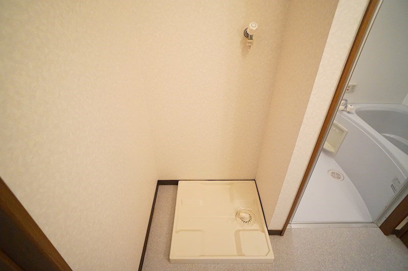 アンプルール　ブア　竜田川 その他19