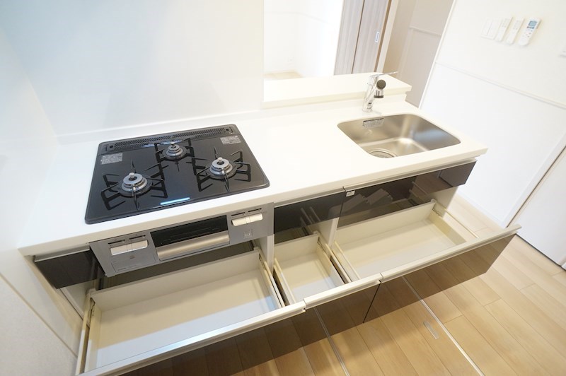 モアナエコルB その他13