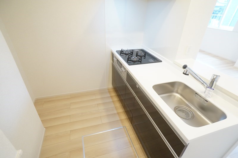 モアナエコルB その他14