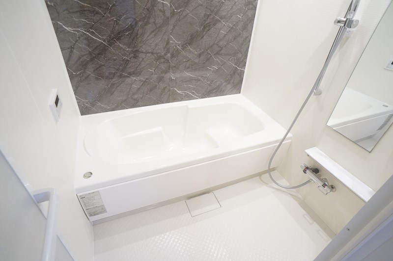 モアナエコルB 風呂画像