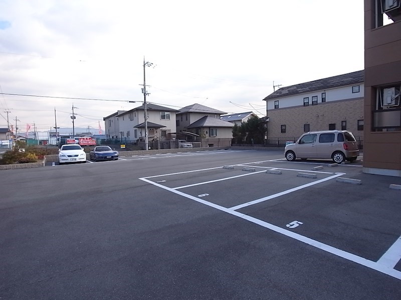 カモミール喜光 その他5