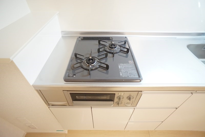 Regulus　(レグルス） その他20