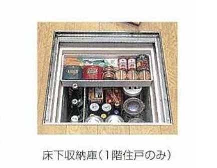 なでしこ その他5