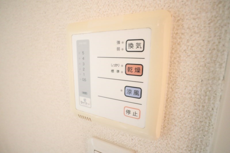 ロイヤルSK指柳 その他10