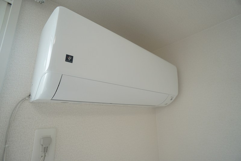 Bela　suno その他5