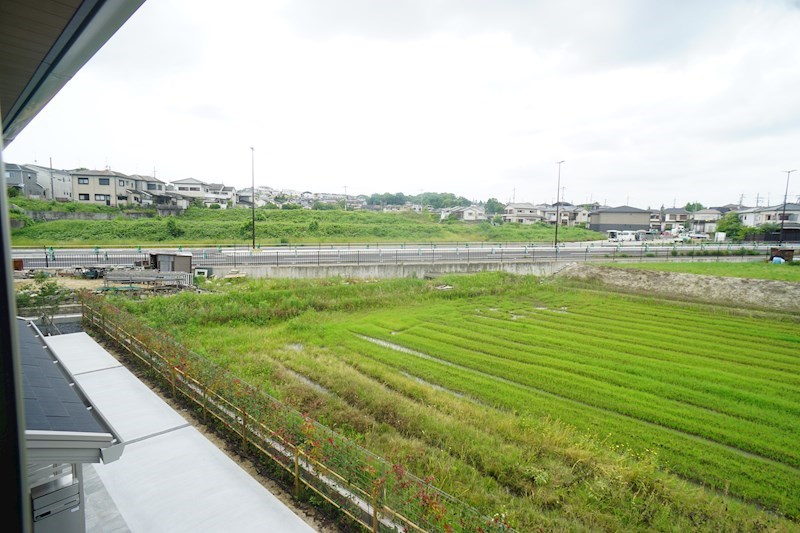 Bela　suno その他20