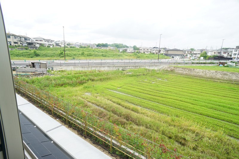 Bela　suno その他12
