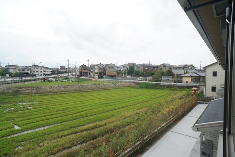 Bela　suno その他16