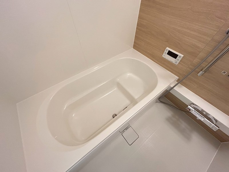 パームツリー その他24