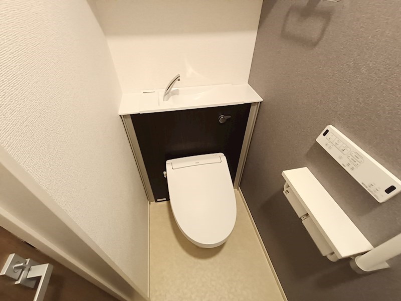 コンチェルト その他2