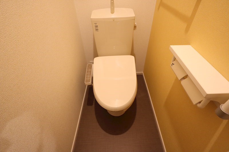 プラシード その他2