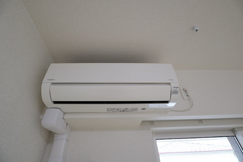 プラシード その他4