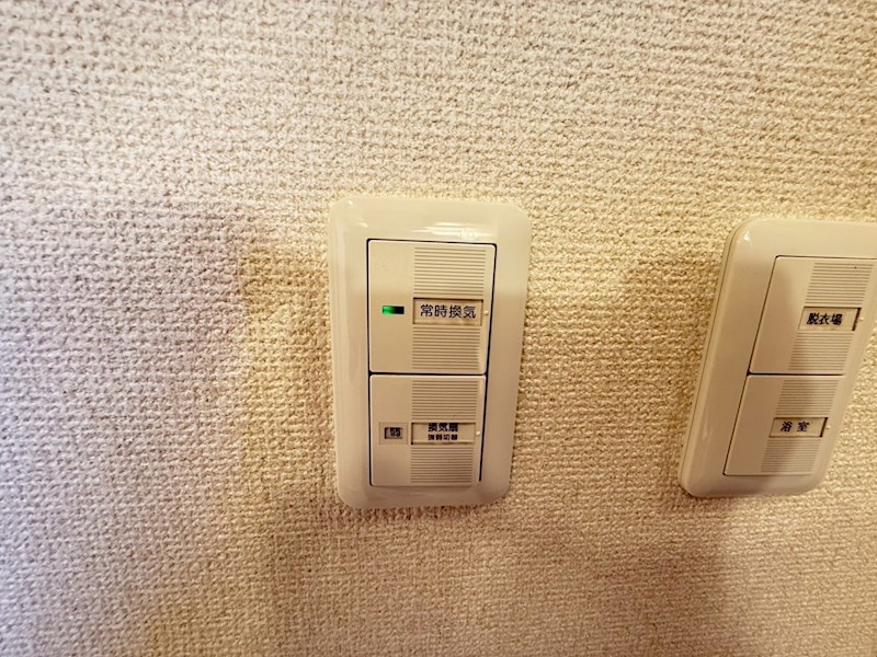 Cozycourt Gunei その他18