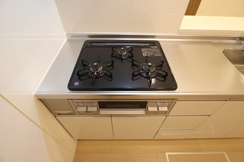 カーサ・リンドペローⅡ その他28