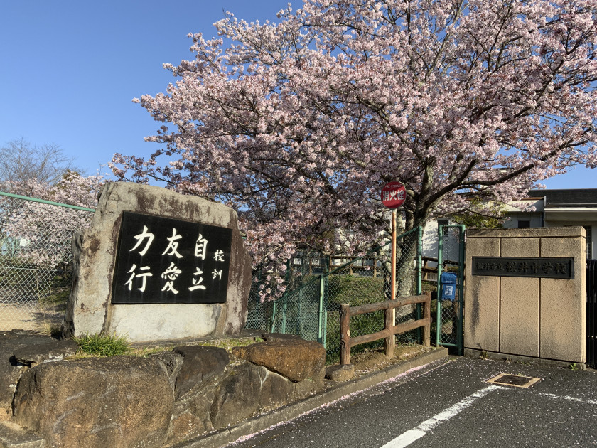 セレッソ　パティオⅢ 周辺画像2