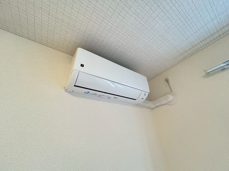 クローバー その他5