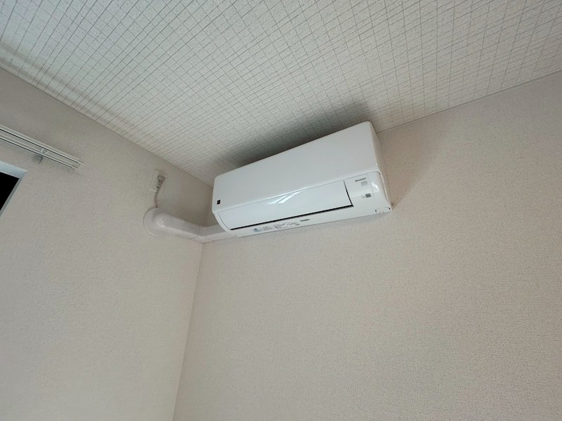 クローバー その他25